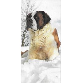 Chocolat Nestle. Carte Merveilles Du Monde N° 93 Le Chien. Le Saint Bernard