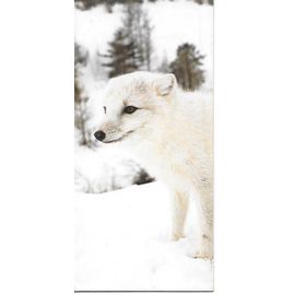 Carte Chocolat Nestle Merveilles Du Monde N° 39 Animaux Des Regions Polaires. Le Renard Polaire