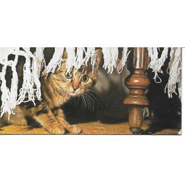 Chocolat Nestle. Carte Merveilles Du Monde N° 102 Le Chat. Faire Connaissance Avec Son Chat