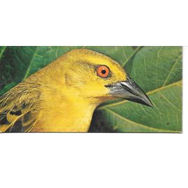 Carte Chocolat Nestle Merveilles Du Monde N° 67 Animaux Constructeurs Les Tisserins