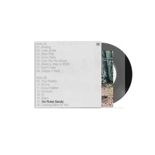 No Rules Sandy - Vinyle