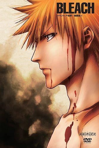 Bleach 1 [Dvd]