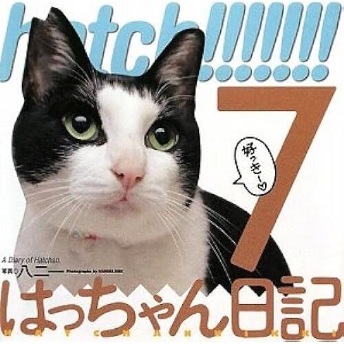 Hatch!!!!!!!7