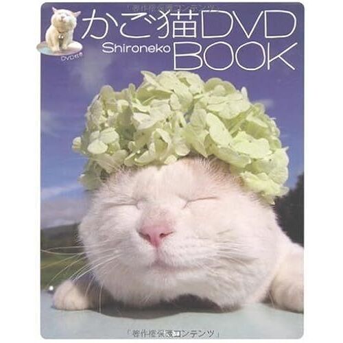 Dvd Book (Dvd)