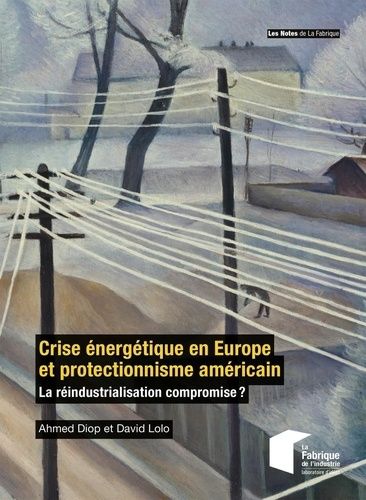 Crise Énergétique En Europe Et Protectionnisme Américain - La Réindustrialisation Compromise ?