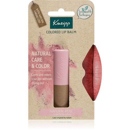 Kneipp Natural Care & Color Baume À Lèvres Teinté Teinte Natural Rosé 3,5 G 