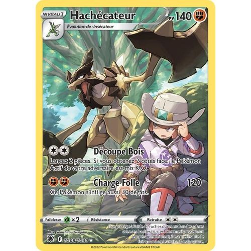 Carte Pokemon - Hachecateur - Tg08/Tg30 - Secrete - Eb10 Astres Radieux -