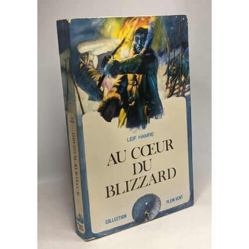Au Coeur Du Blizzard