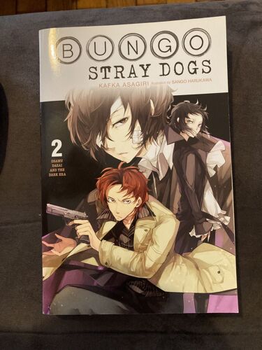 Bungo Stray Dogs, Vol. 2 (Light Novel)