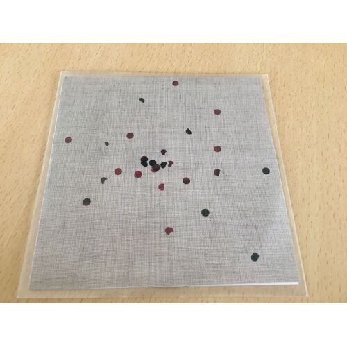 Nonpareils - Scented Pictures - 11 Trk - Promo