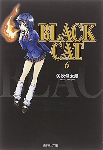 Black Cat (6) ()