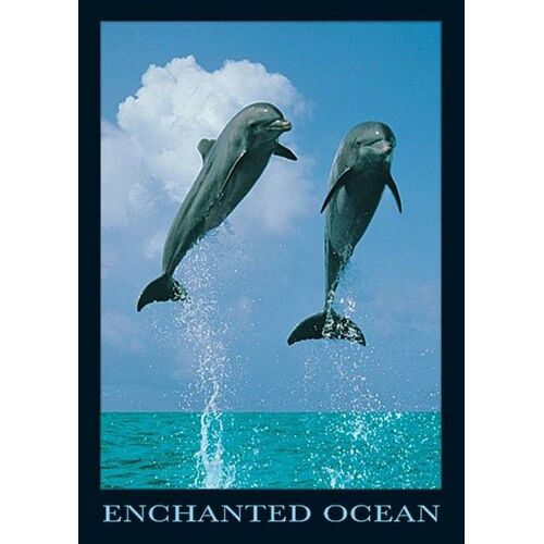 Affiche / Poster - Dauphins - Océan - 61x86cm