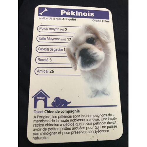 Carte Top Trumps Chiens : Pekinois - Artist Collection