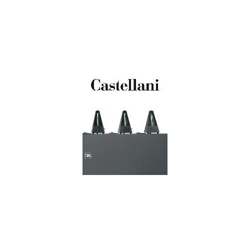 Enrico Castellani