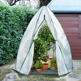 Serre D'hivernage Dôme 160 X 160 X 180 Cm