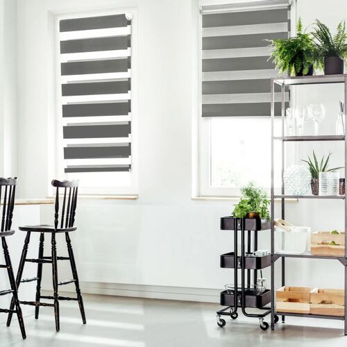 Lot de 2 stores enrouleurs z?br?s jour nuit l.55 x H. max 170 CM gris