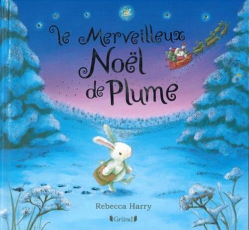 Le Merveilleux Noël De Plume