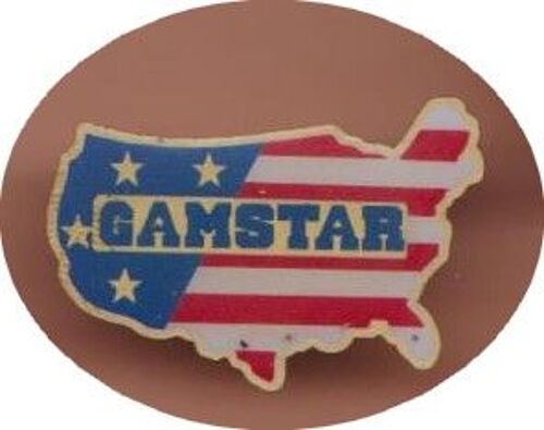 Pin's Usa Etats Unis D'amerique Gamstar Ref 4057