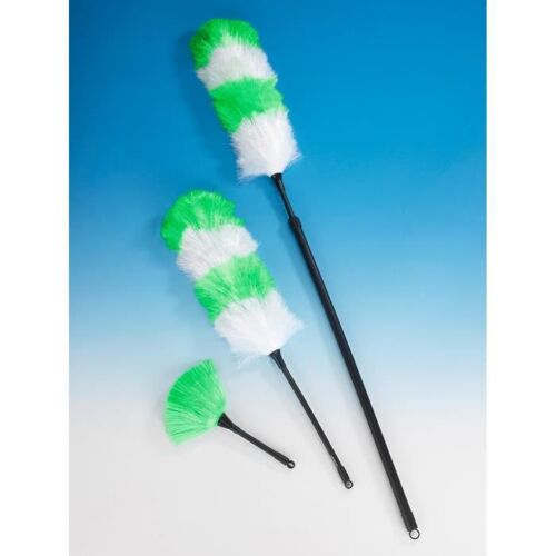 Balayette poussière Vert-Blanc