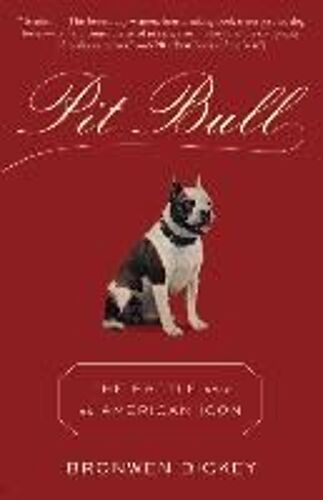 Pit Bull