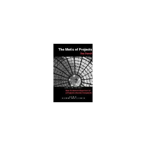 The Metis Of Projects
