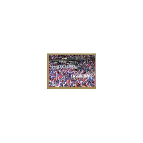 Autocollant Sticker Panini Fiers D'être Bleus / Carrefour 2018 N°85