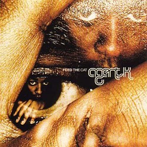 Feed The Cat [12 Inch Analog]