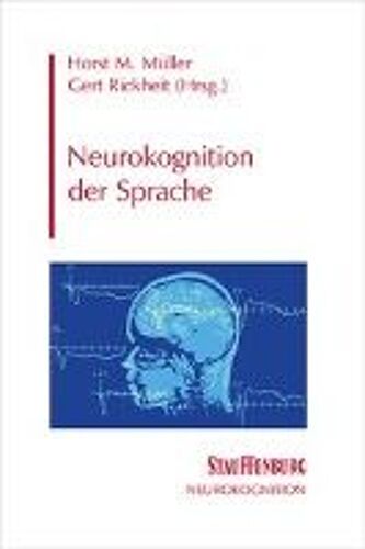 Neurokognition In Der Sprache