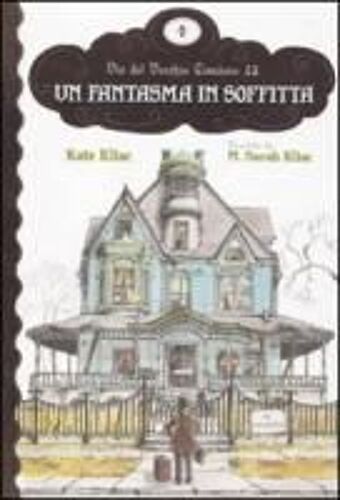 Un Fantasma In Soffitta