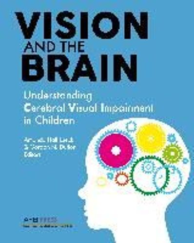 Vision And The Brain