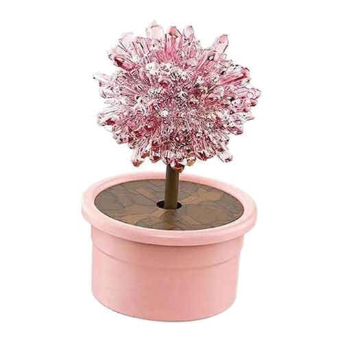 Novelty Crystal Trees Growing Kit Learning Educational Toy For Children Red