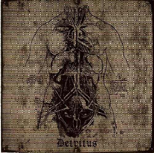 Detritus