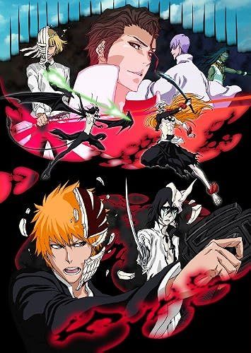 Bleach 10 [Dvd]