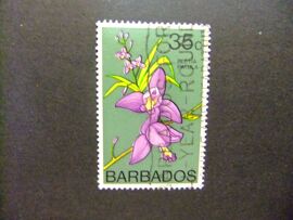 49 Barbade 1974 / Flora Flores Bletia Patula / Yvert 383 Fu