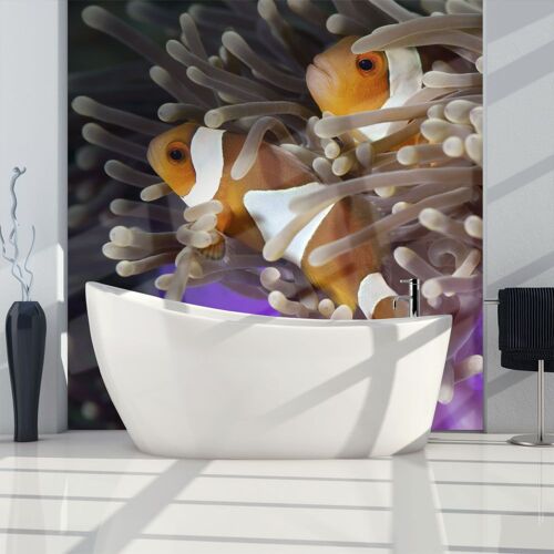 Papier peint intissé Animaux Poissons clowns : Taille - 350 x 270 cm