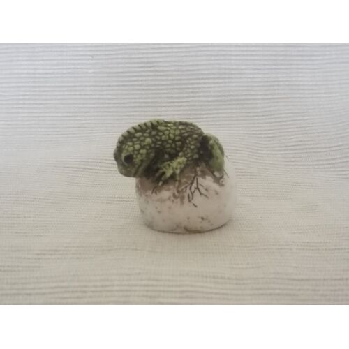 Oeuf Dinosaure N° 5