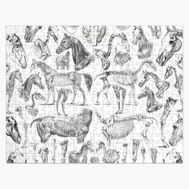 Puzzle en bois Anatomie du cheval (noir sur blanc) 300 pièces 38x26 cm jouet décoration mura