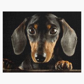 Puzzle en bois Portrait photo de chien teckel 300 pièces 38x26 cm jouet décoration mura