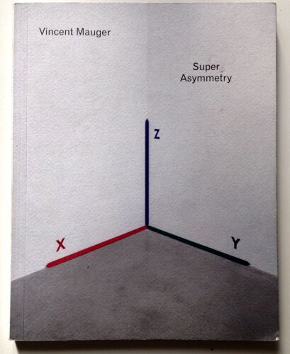 Vincent Mauger - Super Asymmetry