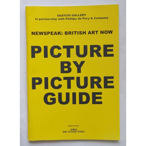 Newspeak : British Art Now Picture By Picture Guide