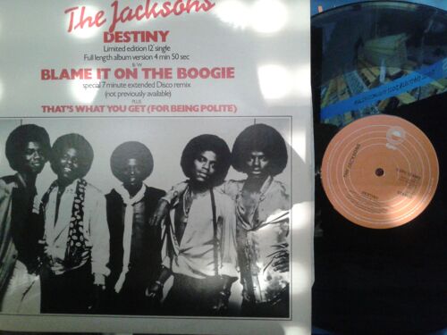 Destiny / Blame It On The Boogie (Disco Mix)