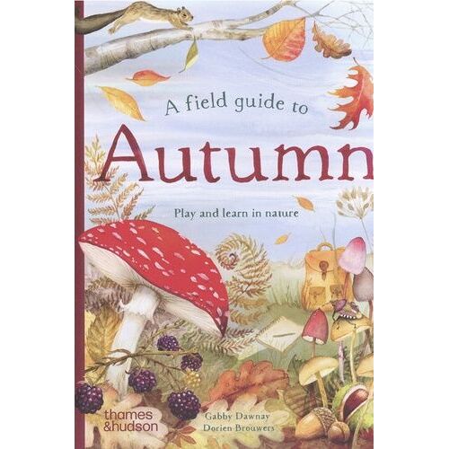A Field Guide To Autumn - Play And Learn In Nature
