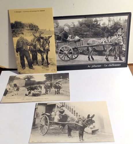 Lot De 4 Cartes Postales Ânes