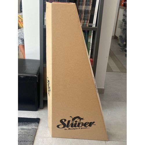 Guitare Folk Électroacoustique Shiver