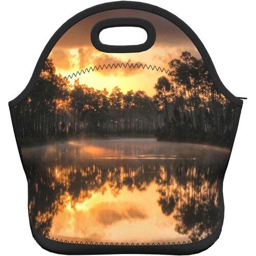 Paysage d'automne Portable Lunch Bag Leakproof Lunch Box Tote -At Dusk Park