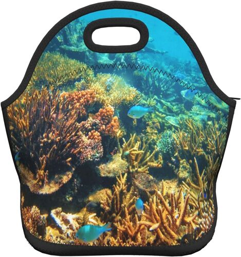 Sac à bento portable corail et poisson coloré extérieur - Sac fourre-tout étanche pour le déjeuner - Corail et poisson colorés