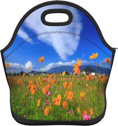 Magnifiques sacs à déjeuner réfléchissants sur la montagne, sac fourre-tout ? Marguerites d'automne