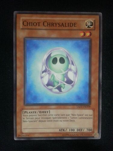 Chiot Chrysalide (Taev-Fr009) - Commune - Yu-Gi-Oh!