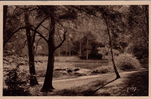 Carte Postale De Meudon (Hauts De Seine) Forêt De Saint-Cucufa