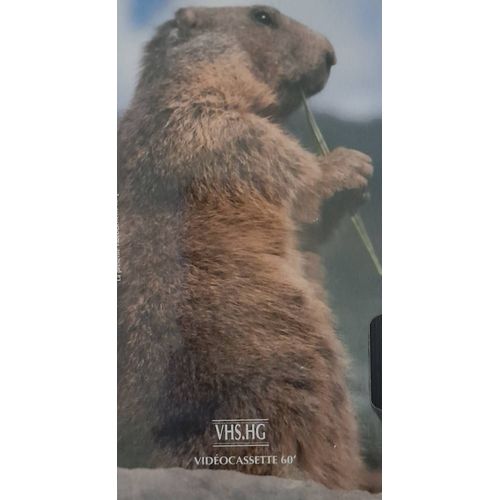 Vhs - Nature En Vidéo - Les Marmottes, Les Mollusques